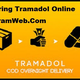 Illustration for article titled Ordering Tramadol Online